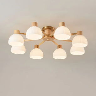 Flared Ceiling Light
