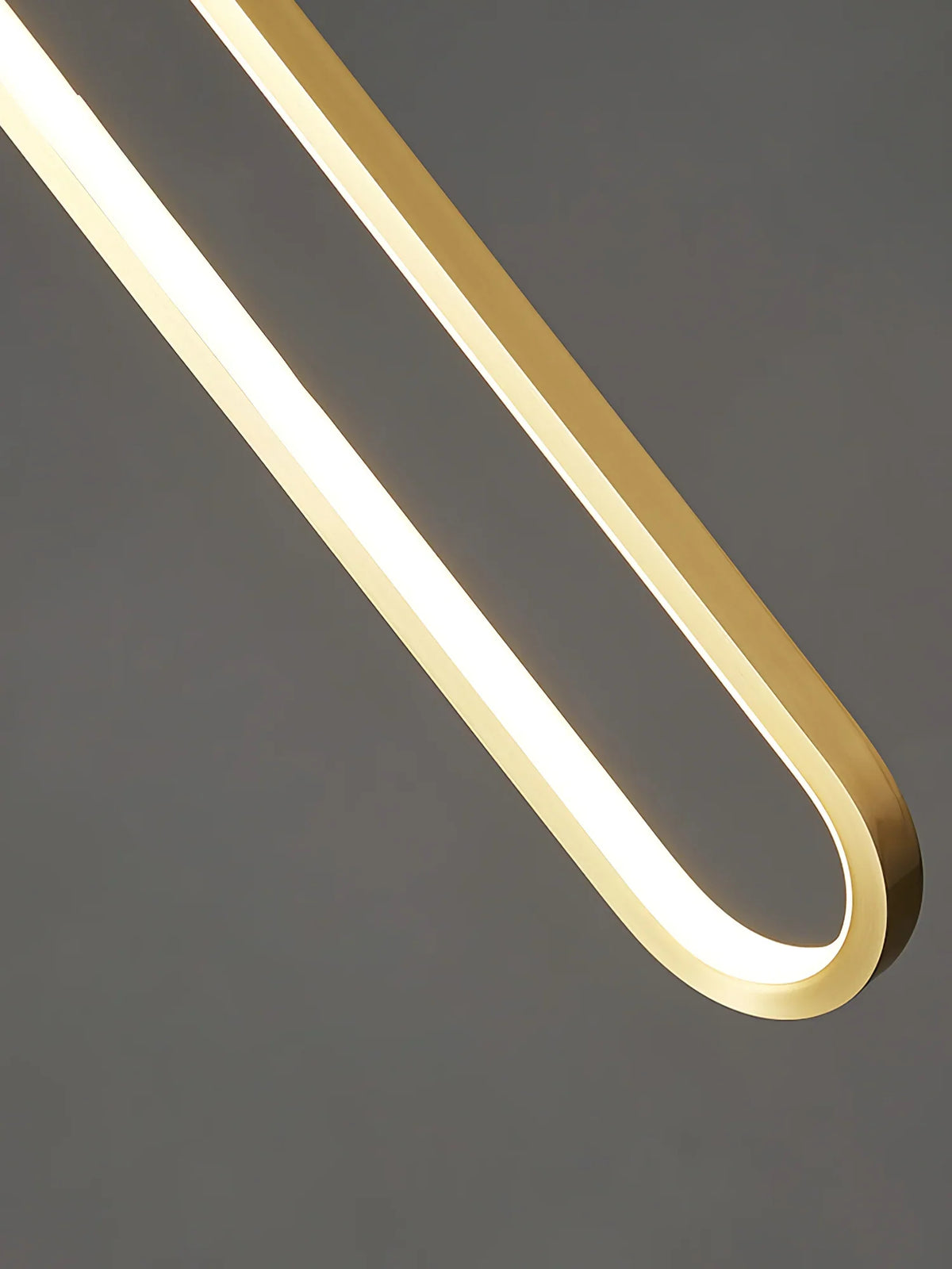 Ring Hanging Pendant Light