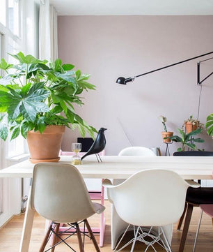 Long Arm Wall Lamp