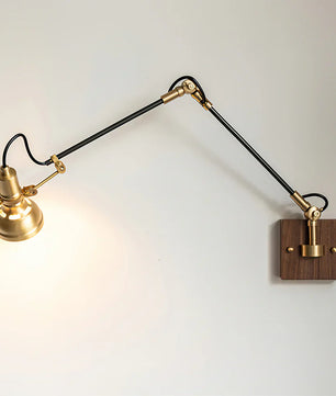 Kane Swing Arm Wall Lamp