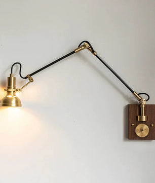 Kane Swing Arm Wall Lamp