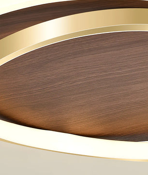 Parfco Ceiling Lamp