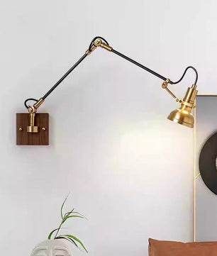 Kane Swing Arm Wall Lamp