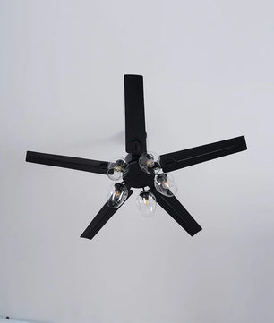 Glass Ball Ceiling Fan Light