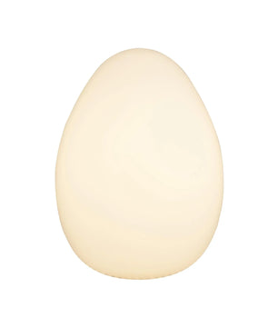 Egg Table Lamp