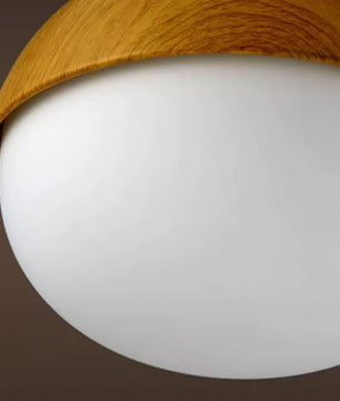 NUT Pendant Light