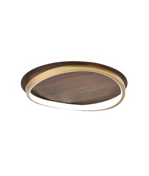 Parfco Ceiling Lamp