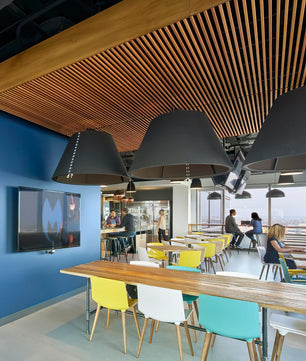 Acoustic Pendant Lamp