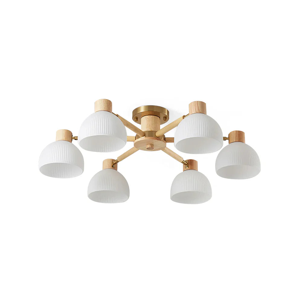 Ceiling Light