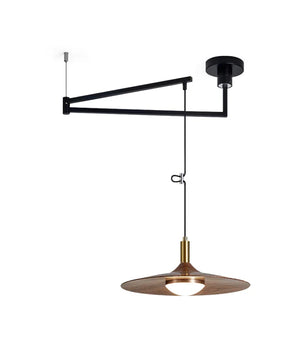 Nano Swing Arm Pendant Light
