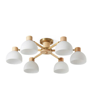 Flared Ceiling Light