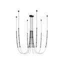 Leda Chandelier