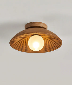 Teelin Ceiling Light