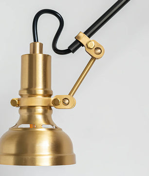 Kane Swing Arm Wall Lamp