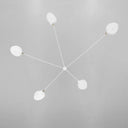 Serge Mouille Ceiling Lamp B