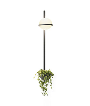 Solstice Outdoor Wall Light