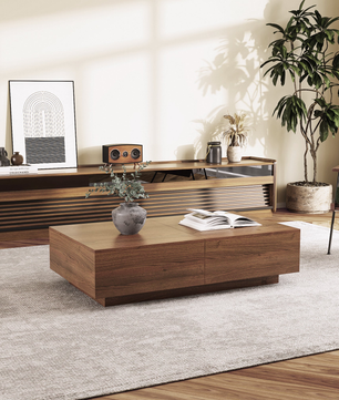 Minimalist Sliding Coffee Table