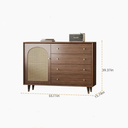 Modern Rattan Storage