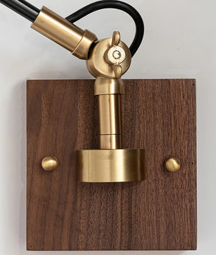 Kane Swing Arm Wall Lamp