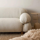 Living Room Sofa
