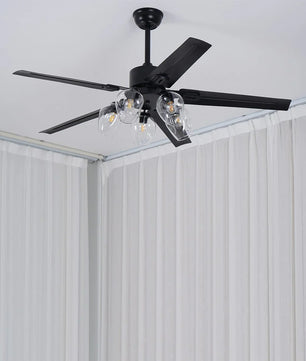 Glass Ball Ceiling Fan Light