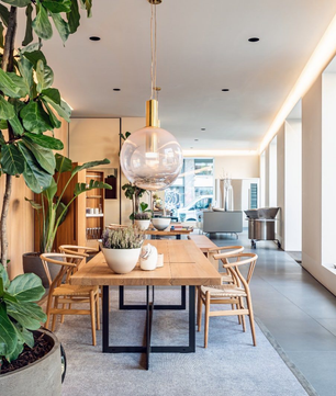 Phenomena Pendant Light