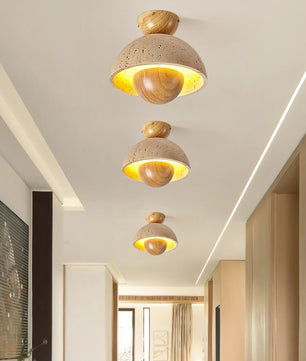 Sonoma Ceiling Lamp