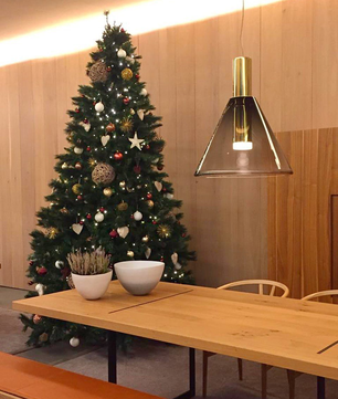 Phenomena Pendant Light