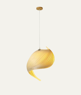 Nautilus Shell Pendant Light