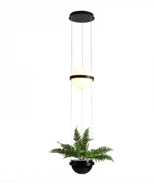 Palma Pendant Lamp