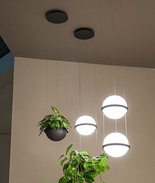 Palma Pendant Lamp