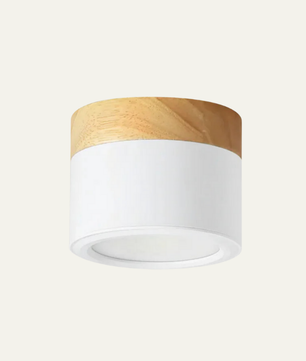 Plafonnier Spot Ceiling Lamp
