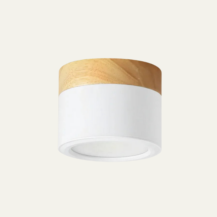 Plafonnier Spot Ceiling Lamp