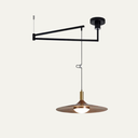 Nano Swing Arm Pendant Light