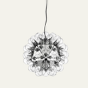 Taraxacum Pendant Light